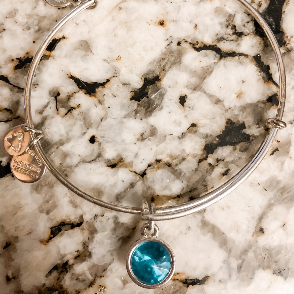 Alex and Ani December Charm Bangle Bracelet